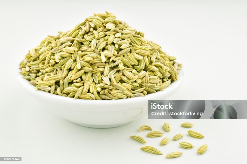 Fresh Fennel